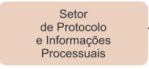 Setor de Protocolo e Informações Processuais
